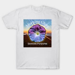 Morning Glory T-Shirt